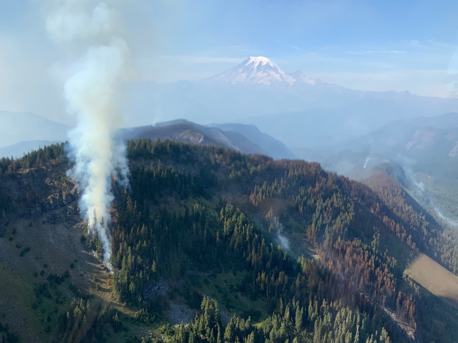 Five Large Wildfires Continue to Burn in Washington The Daily Chronicle
